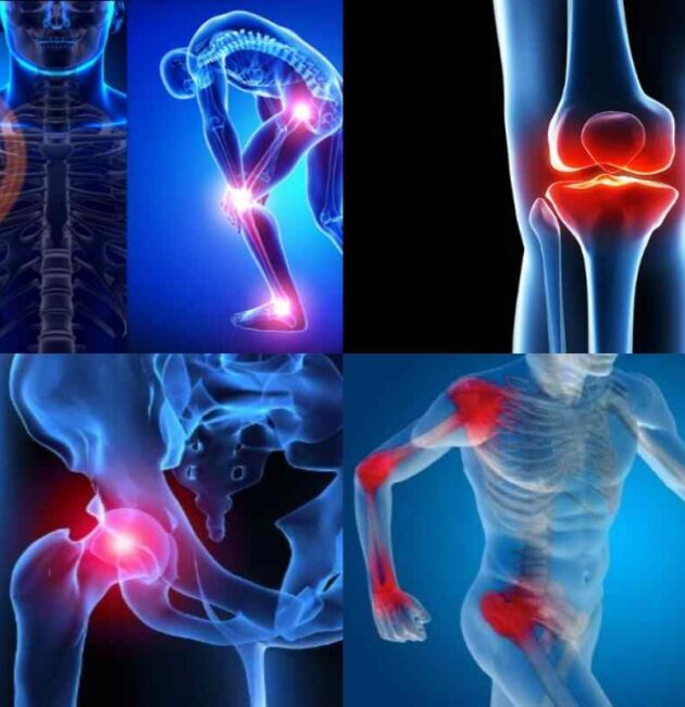 Best Orthopedic Doctor In Guwahati