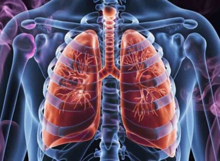 apothorax in human body